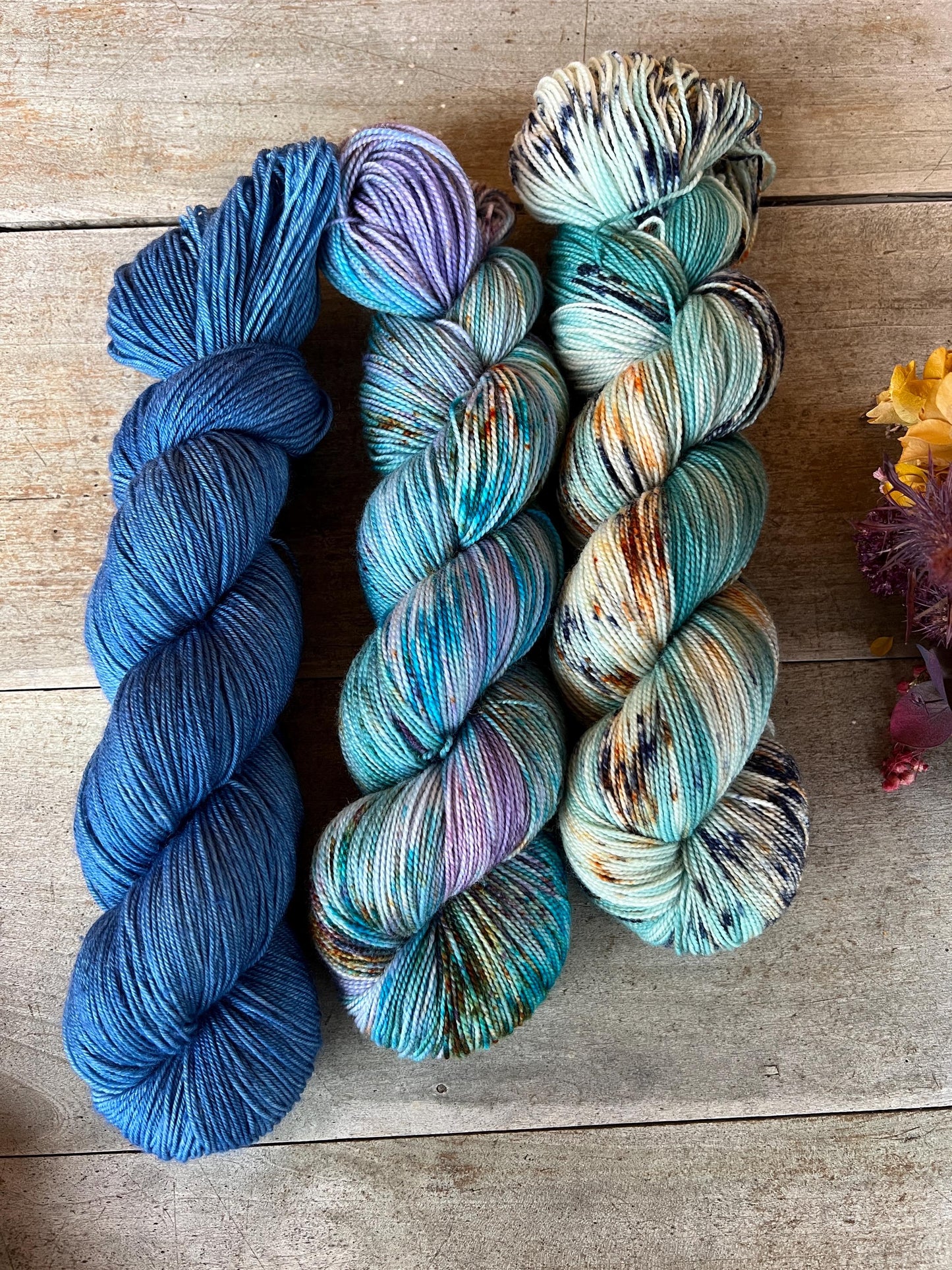 PRAIRIE - Laine teinte à la main - Fingering Mérinos Nylon superwash