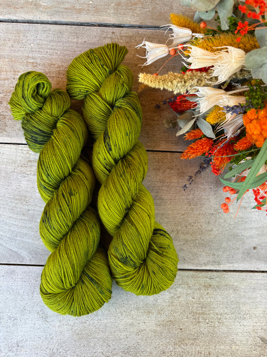 EVERGLADES- Laine teinte à la main - Fingering Mérinos Superwash