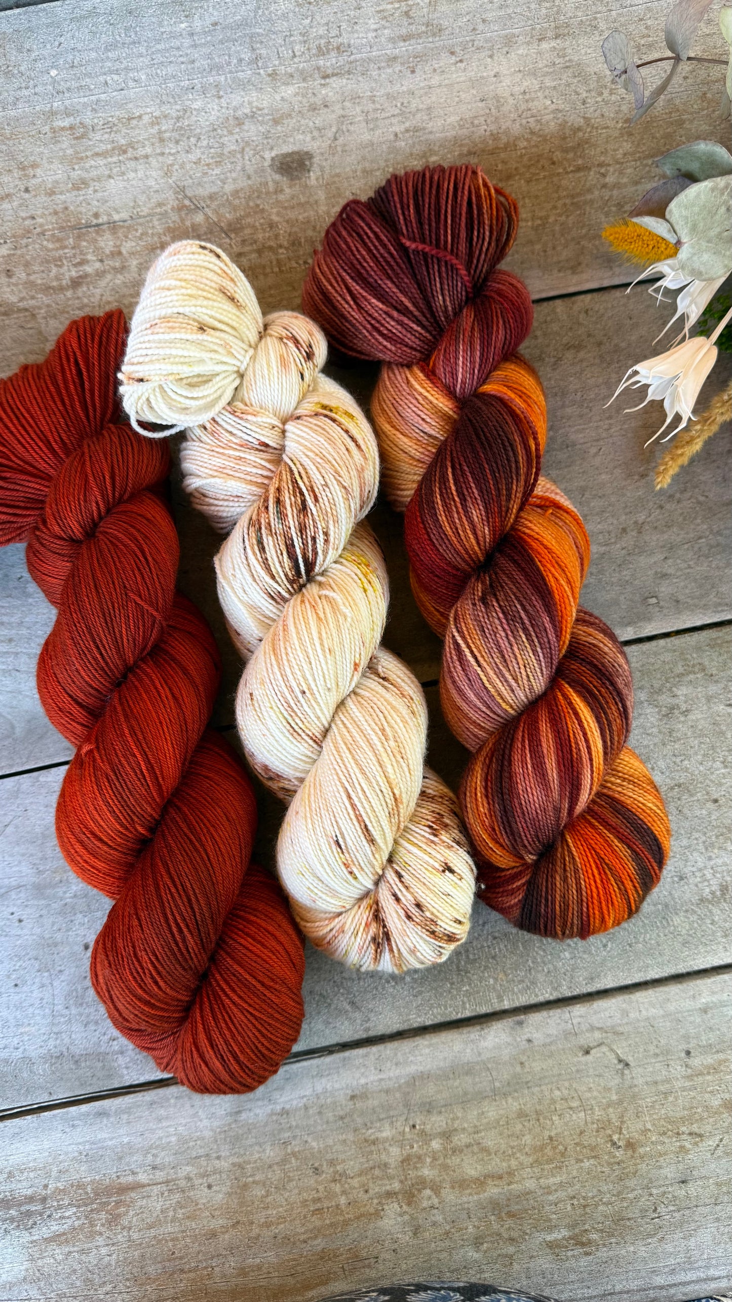 OLYMPIA - Laine teinte à la main - Fingering Mérinos Nylon superwash